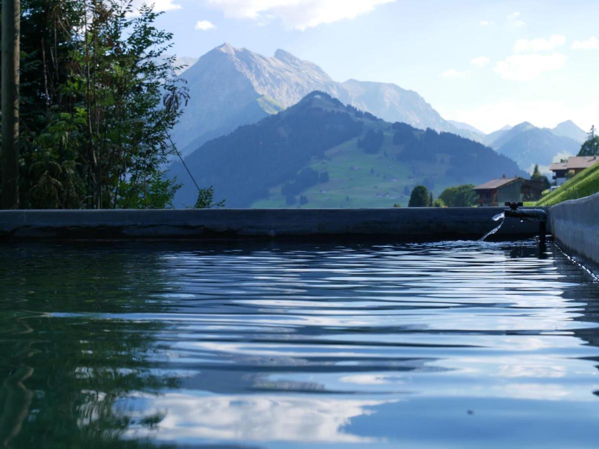 Chalet Sonnenheim, Wohnung Mit Panoramafenster Adelboden Eksteriør bilde
